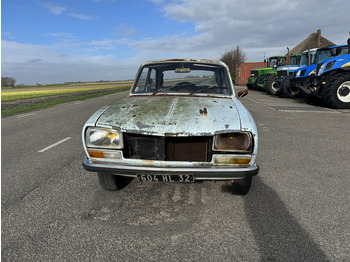 מכונית Peugeot 304: תמונה 4