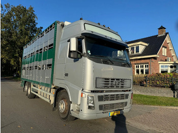 משאית להובלת בעלי חיים VOLVO FH12 500