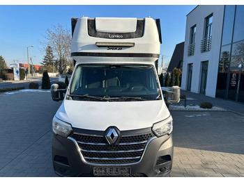 כלי רכב מסחרי עם וילונות צד Renault Master: תמונה 3