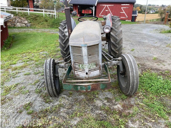 הַחכָּרָה  1954 Massey Ferguson TEA 1954 Massey Ferguson TEA: תמונה 1