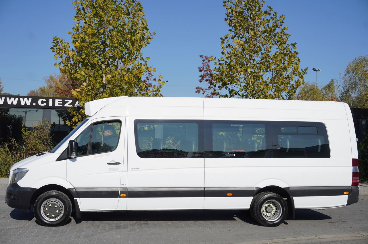 מיניבוס, כלי רכב מסחרי לנוסעים Mercedes-Benz Sprinter 516 CDI / School bus / 23 seats / automatic: תמונה 7