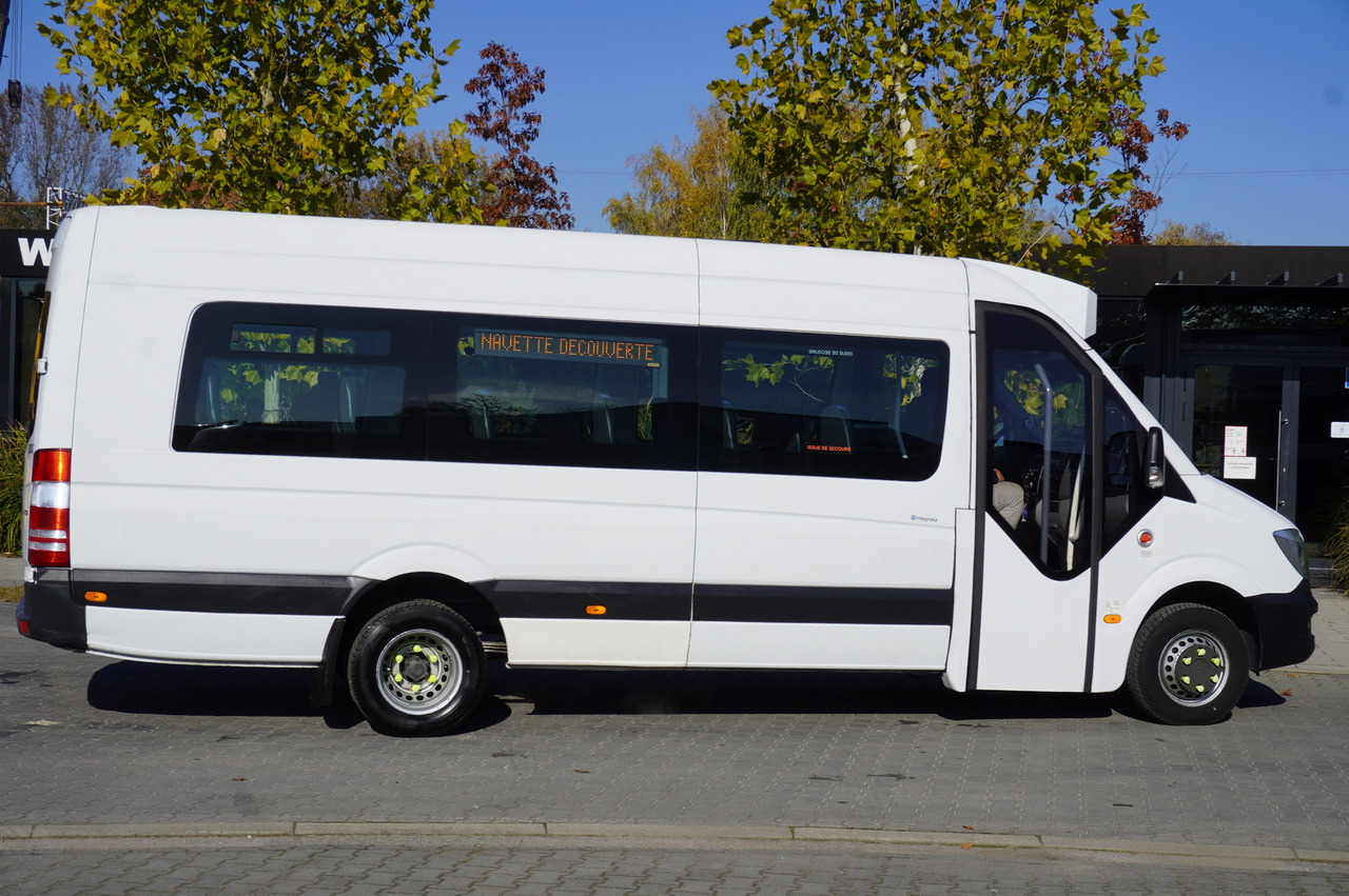 מיניבוס, כלי רכב מסחרי לנוסעים Mercedes-Benz Sprinter 516 CDI / School bus / 23 seats / automatic: תמונה 9