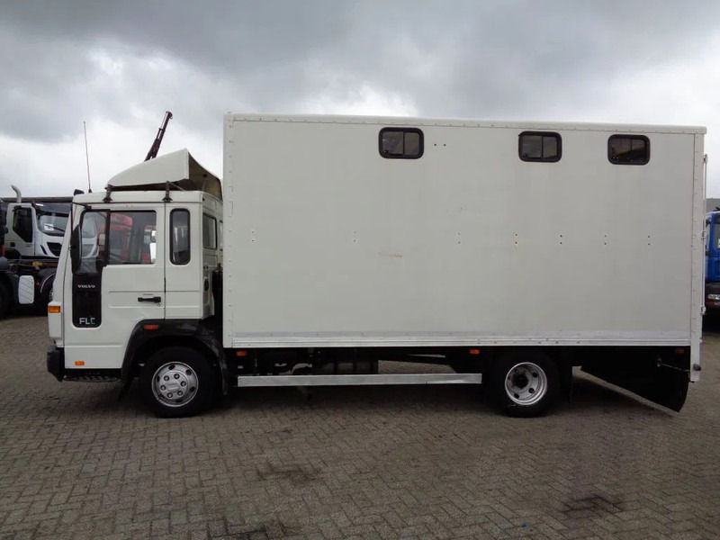 משאית סוסים Volvo FLC + Manual + Horse transport: תמונה 6