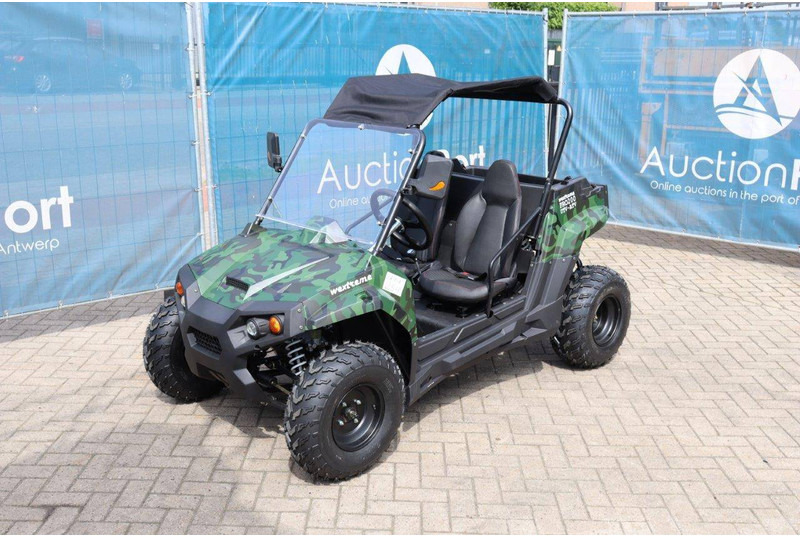 חָדָשׁ עגלת גולף Wextrem UTV-ATV 200Pro: תמונה 8